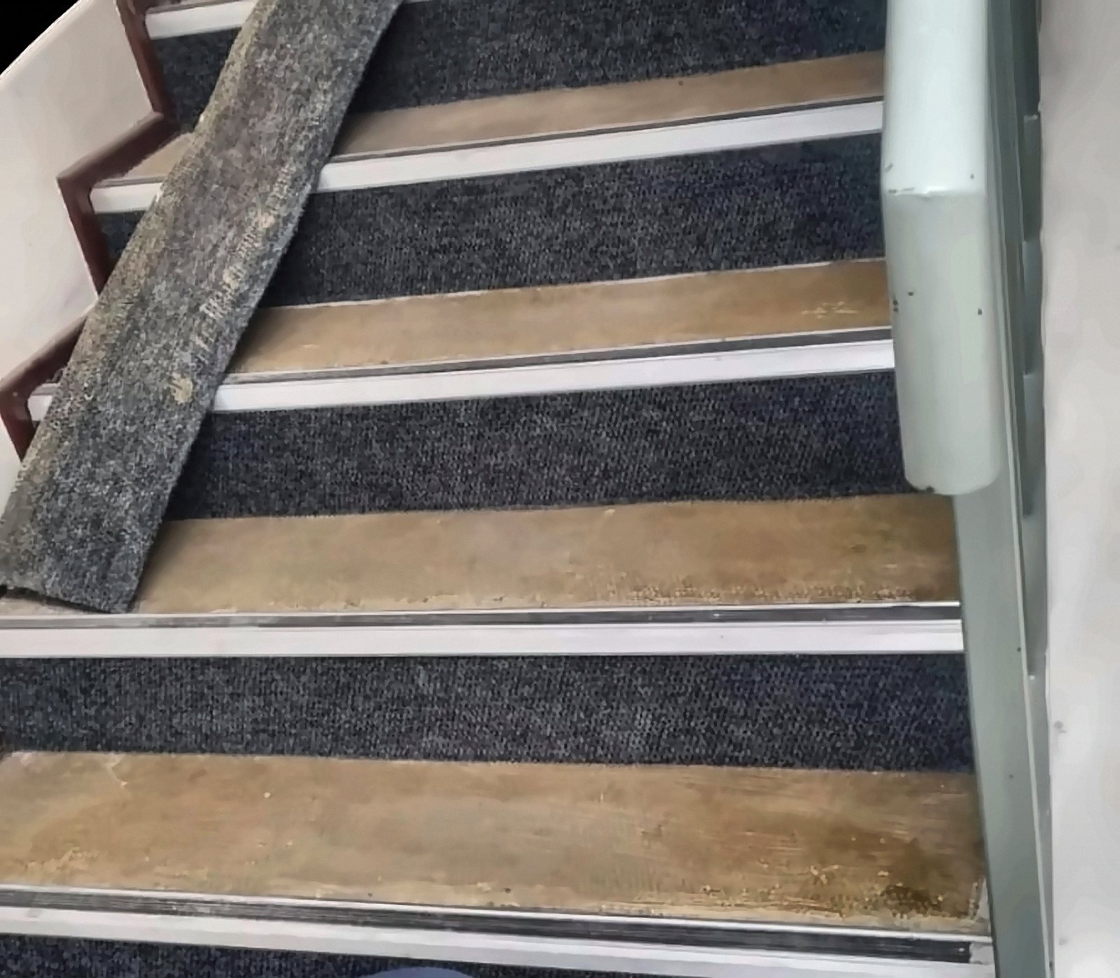 Refurbished stair treads with nosing
